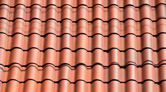 Clay roofing tiles