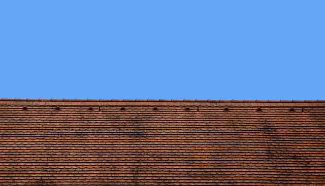 A roof ridge